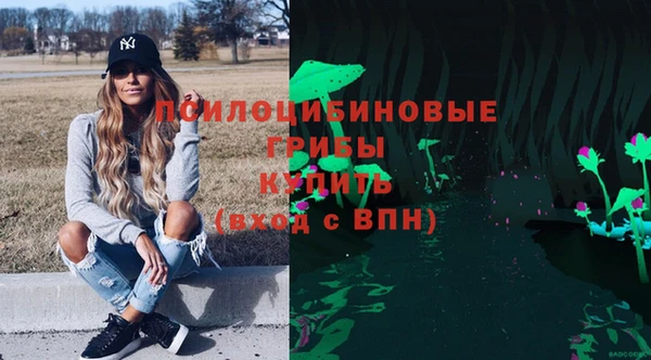 бутират Алексин