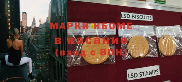 винт Алзамай