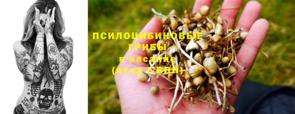винт Алзамай