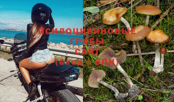 герыч Алексеевка