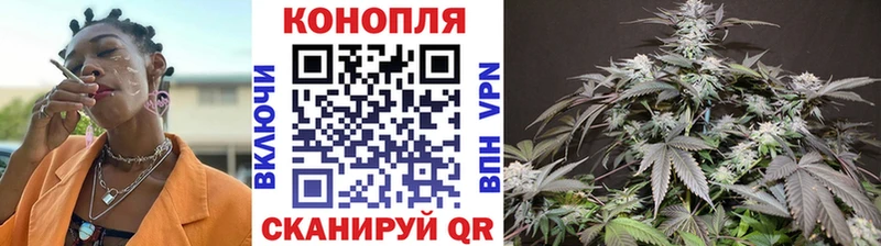 Каннабис SATIVA & INDICA Северская