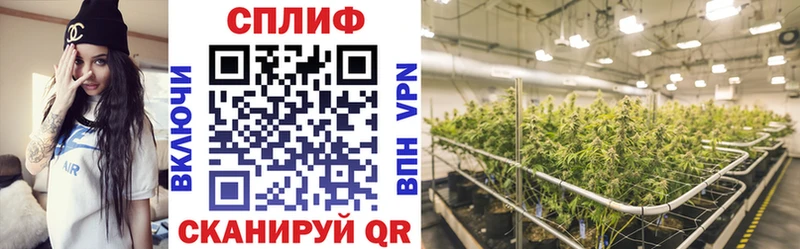 Бошки марихуана гибрид  купить наркотики сайты  Северская 